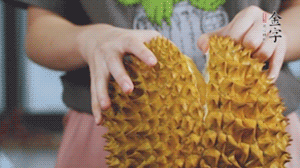 榴蓮剝好肉后，搗成泥狀。