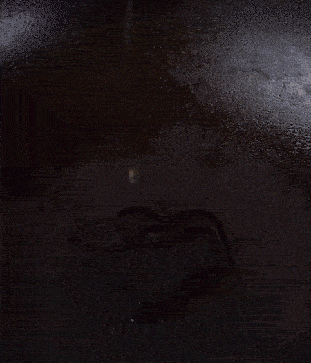 冷鍋熱油，下蒜片爆香，下香腸、玉米筍、蓮藕、西芹爆炒，期間加點(diǎn)水，翻炒1分鐘后加新鮮百合片，翻炒30秒。